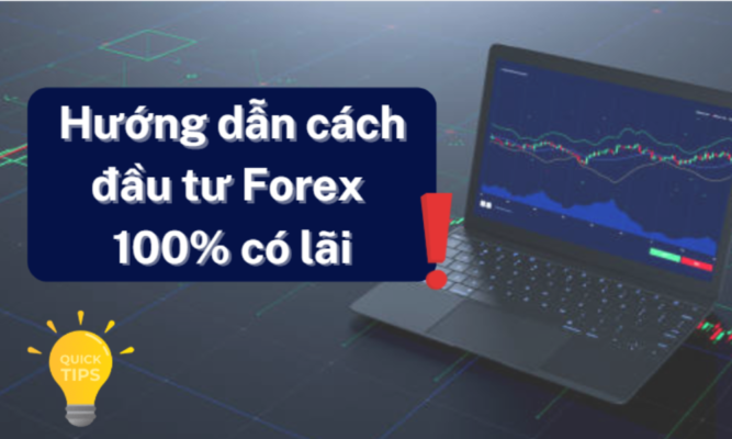 Hướng dẫn cách đầu tư Forex 100% có lãi