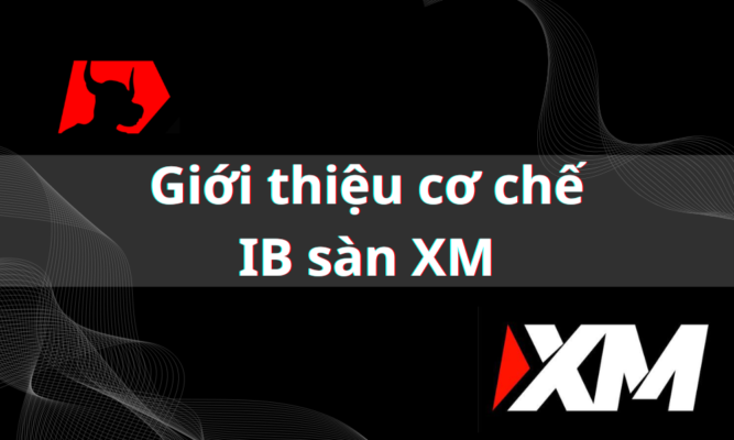 Cơ chế IB sàn XM